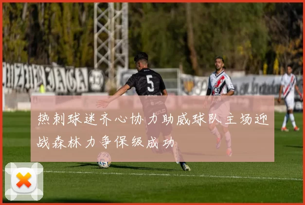 热刺球迷齐心协力助威球队主场迎战森林力争保级成功